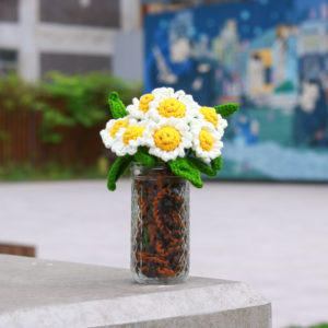 園野小雛菊鉤織永生花玻璃瓶